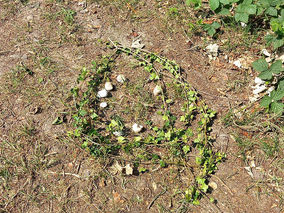 Mandalas an der Weingartenkapelle